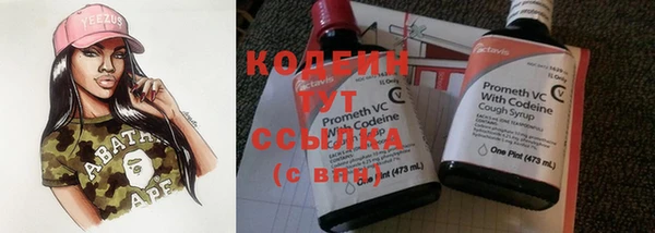 гашик Костерёво