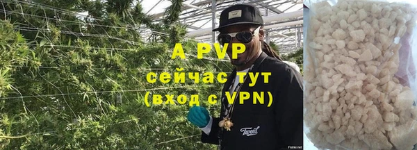 apvp Коряжма