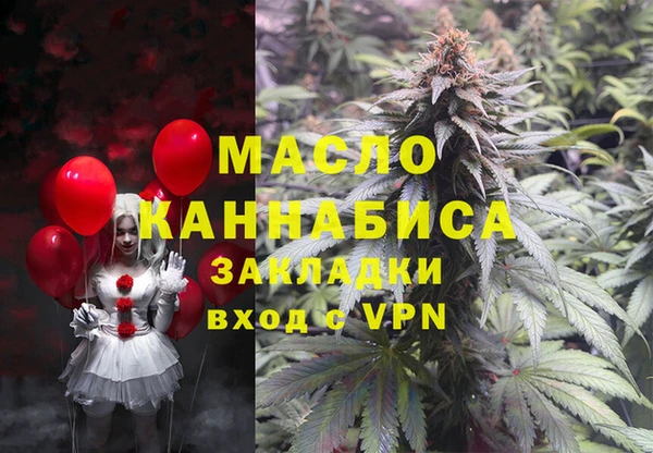 гашик Костерёво