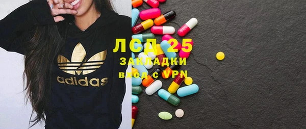 гашик Костерёво