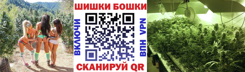 Купить закладки  Жигулёвск  Каннабис сатива 